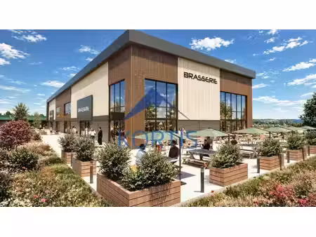 vente commerce anse 69480 1200m²