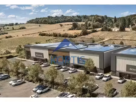 vente commerce anse 69480 2150m²