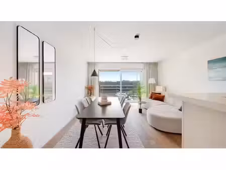 willem cauwels real estate