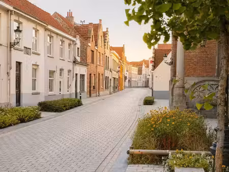 willem cauwels real estate