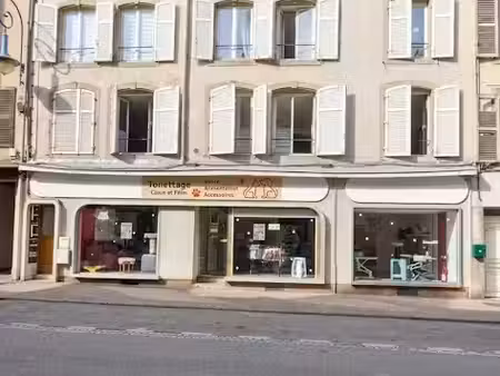 vente immeuble 0 pièces 357 m² à mirecourt (88500)  389 000 €