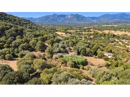 à seulement 3 min de porto-vecchio terrain de 18 830 m2 av