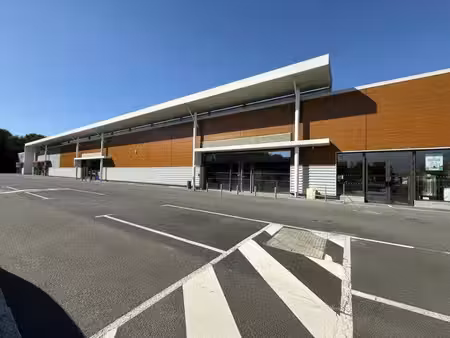 location commerce chantonnay 85110 476m²