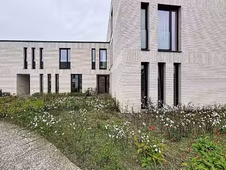 appartement te huur in rupelmonde met 2 slaapkamers