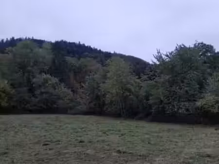 vente terrain à ternuay-melay-et-saint-hilaire (70270)  25 000 €