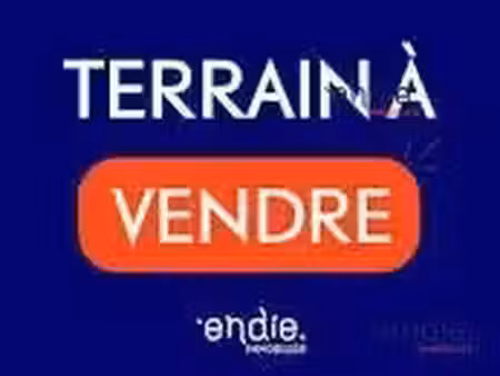 vente terrain à batir 2466 m² à chassenon (16150)  15 900 €