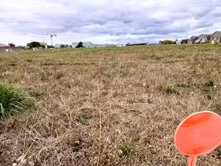 vente terrain 386 m² à saint-fulgent (85250)  31 652 €