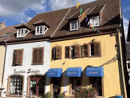 achat maison 12 pièces 221m² diemeringen 67430