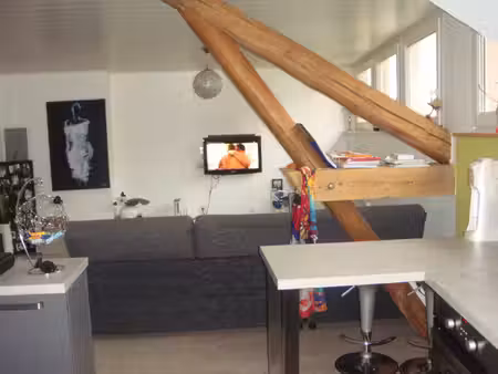 location appartement 2 pièces 47m² sarrebourg 57400