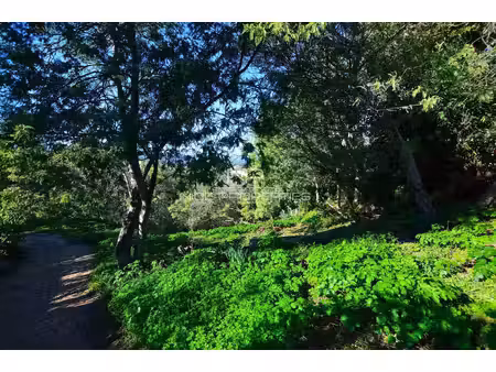 vente maison à cannes (06150) : à vendre / 95m² cannes