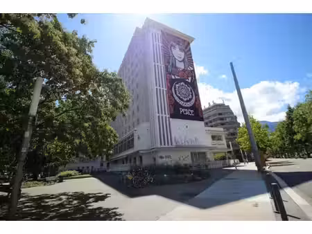 local professionnel à vendre grenoble 2 pièce(s) 34m2 69 500€