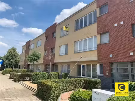 coprimmo - uw specialist in de zuidrand en antwerpen centrum