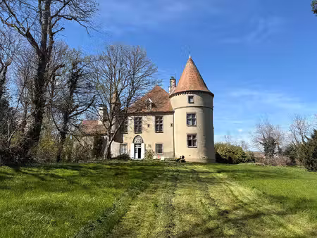 vente demeure d'exception à blot-l'église (63440) : à vendre / 765m² blot-l'église