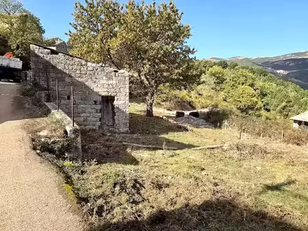 vente locaux professionnels 2 pièces 40 m² à aullene (20116)  80 000 €
