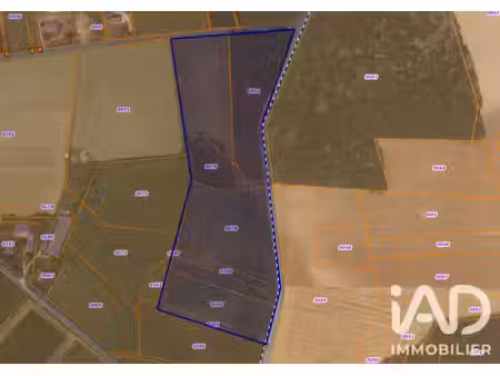 vente terrain 60 000 m²