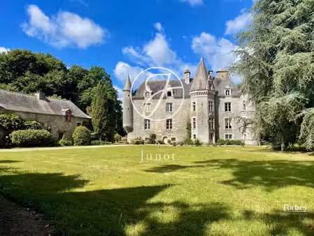 vente demeure d'exception piscine à la chapelle-caro (56460) : à vendre piscine / 800m² la