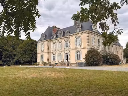 vente demeure d'exception piscine à saint-martin-sur-oust (56200) : à vendre piscine / 820