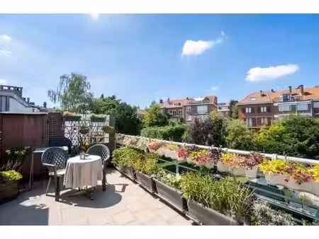 magnifique penthouse - chant d'oiseau
