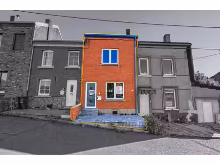 belle maison 3 chambres avec terrasse  jardin et 2 garages