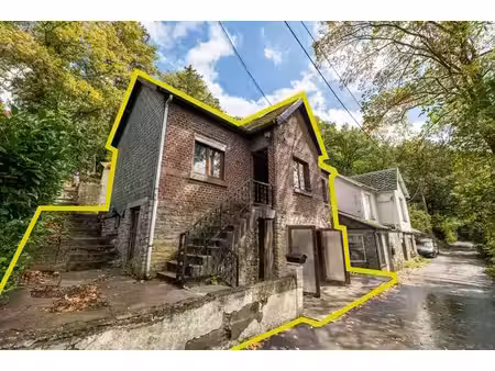 maison 4 chambres à rénover avec garage et jardin