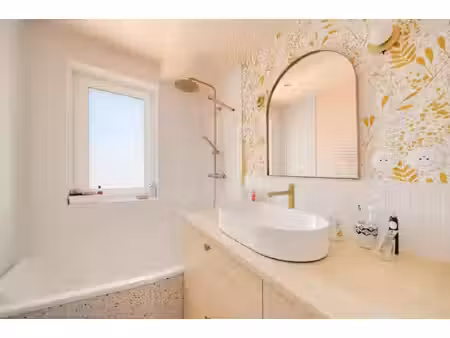t3 rénové avec goût  chaleureux et lumineux