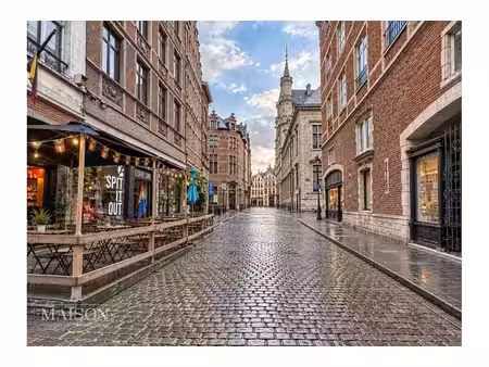 immeuble mixte à vendre à rue du marché au charbon 5 bruxelles (vbe78555)