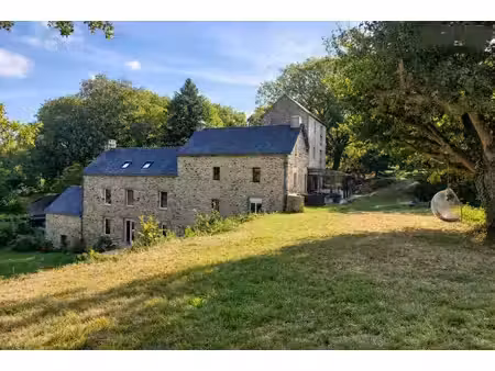 moulin 9 pièces 330 m2 sur parc de 5200 m²