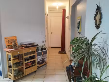 appartement 35 m2 t2