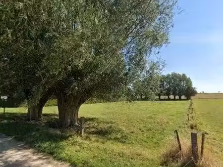 terrain à bâtir à wailhain