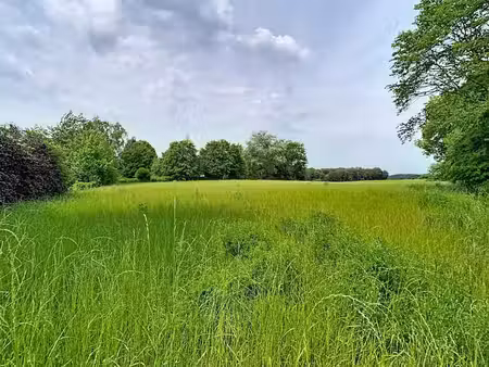 beau terrain agricole