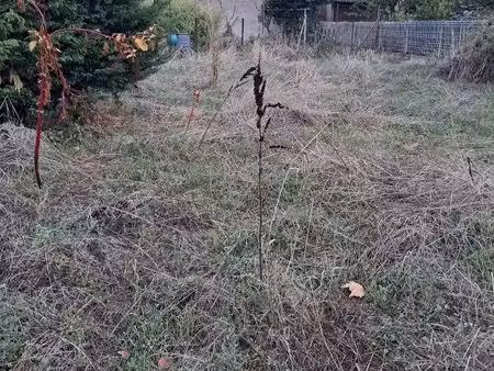 terrain avec maison neuf à vendre