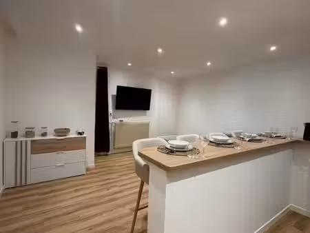 appartement 3 pièces entièrement rénové - proximité centre ville et parc de l'hôtel de vil