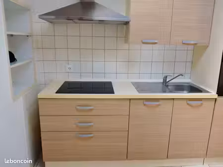 grand t2  43 m2  calme et lumineux  cuisine équipée - mâcon centre/gare