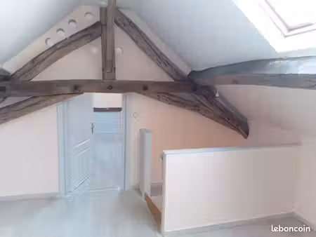 t3 bis de 70m2 en duplex avec de grands volumes  lumineux et traversant - centre ville mon