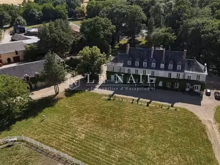 vente demeure d'exception à airvault (79600) : à vendre / 600m² airvault