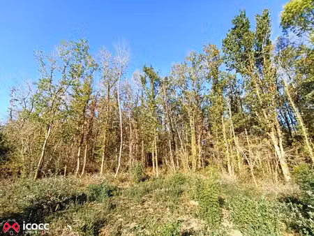 bois  1 9ha à mareuil sur lay