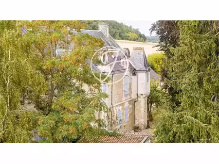 vente demeure d'exception piscine à sainte-maure-de-touraine (37800) : à vendre piscine / 