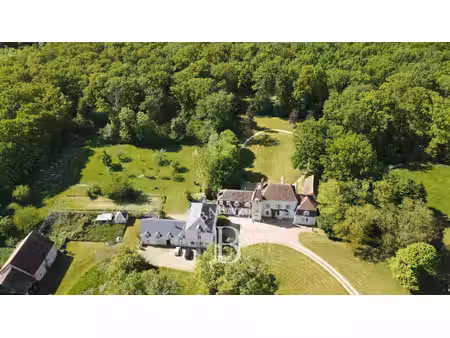 vente demeure d'exception à vatan (36150) : à vendre / 665m² vatan