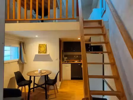 beau studio avec mezzanine