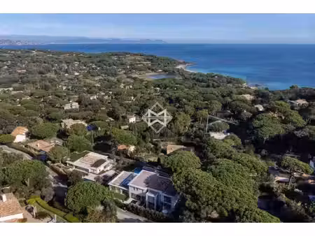 location maison bord de mer à saint-tropez (83990) : à louer bord de mer / 900m² saint-tro