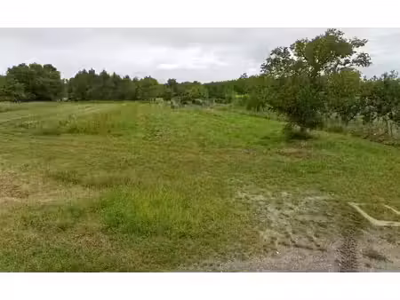 vente terrain 4600 m² à eyrans (33390)  70 000 €
