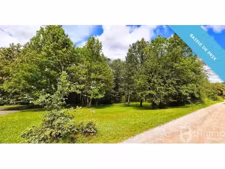 magnifique terrain constructible à epinal