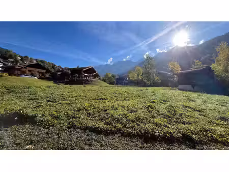 rare à la vente : terrain à bâtir d'exception à la clusaz (74220)