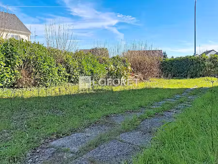 terrain linas 281 m2