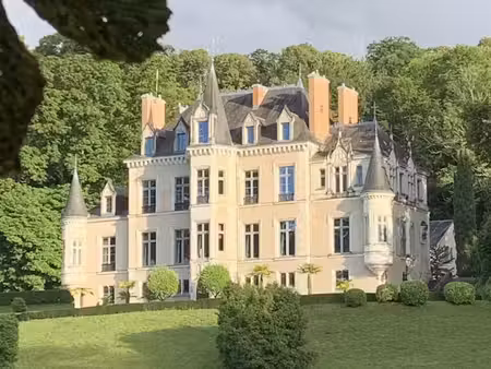château à vendre dans le quartier bollée-sainte croix-jardin des plantes