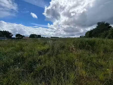 vente terrain à batir 1204 m² à bersée (59235)  242 000 €