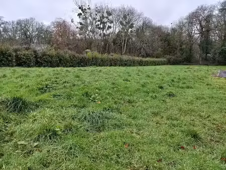 vente terrain 839 m² à plélan-le-petit (22980)  115 450 €
