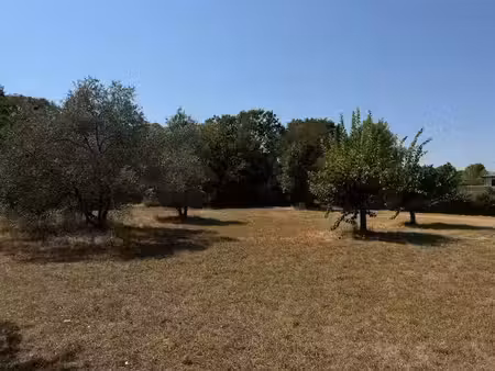 vente terrain 478 m² à saint-jean-de-cornies (34160)  161 900 €