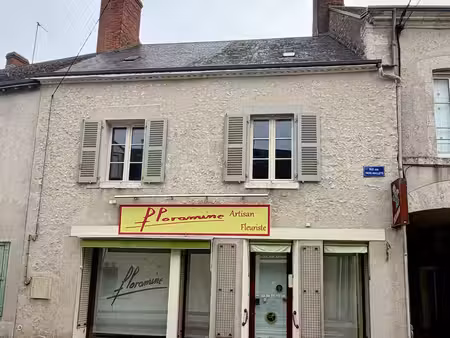 immeuble à patay (45310)