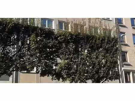 propriété saint jean - caen (14)